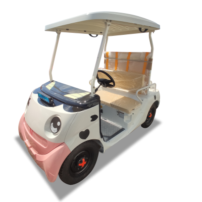 Xe tham quan 2 ghế ngồi – WLDT100