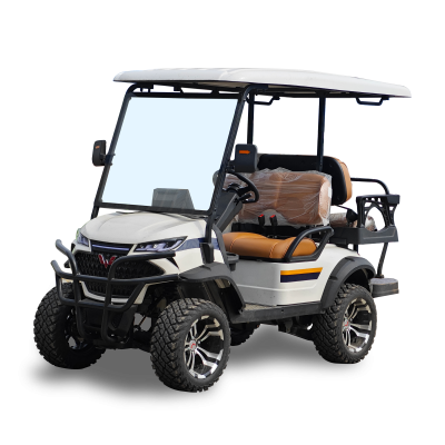 Xe Golf 2+2 ghế ngồi – WLDT32