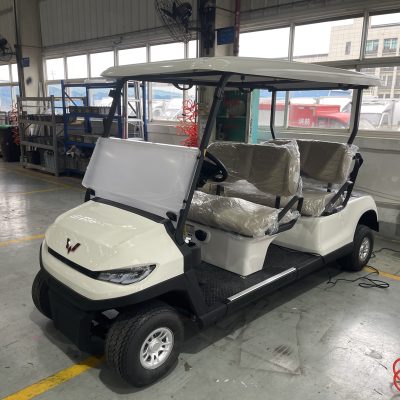 Xe Golf 4 ghế ngồi - WLDT54