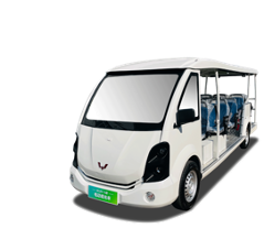 Xe tham quan đón tiếp 8 chỗ - WLDV State Guest Car